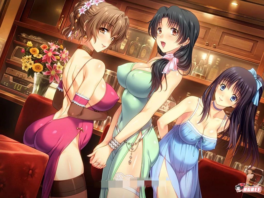 图片[3]-妻中蜜（1+2+3 合集） 完整中文汉化版 全CG档+攻略+全动画-次元小屋