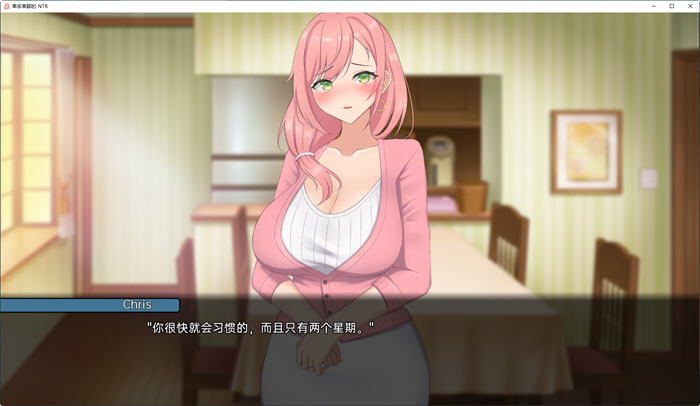 图片[2]-粗糙的NTR ver0.1.0 汉化版 PC+安卓 SLG游戏&新作 300M-次元小屋