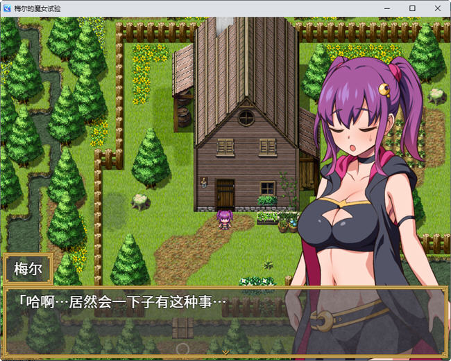 图片[4]-梅尔的魔女试验 官方中文版整合所有DLC PC+安卓 RPG游戏 950M-次元小屋