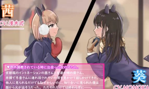 图片[2]-【ADV/机翻/】大小姐的戏言 v1.00【新作/CV】PC-次元小屋