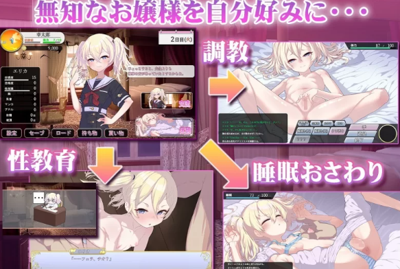 图片[2]-【SLG/AI汉化/PC】 懵懂无知的大小姐 このお嬢様、無知につき [PC+1.1g]-次元小屋
